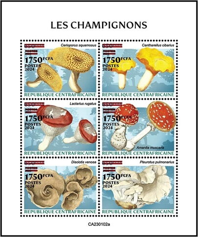 Mushrooms Surcharged