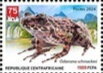 Schmacker's Frog (Odorrana schmackeri)