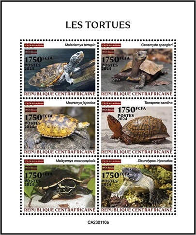 Turtles Surcharged