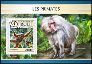 Souvenir Sheet, Bornean Orangutan (Pongo pygmaeus), Djibouti,  , Animals (Fauna), Monkeys