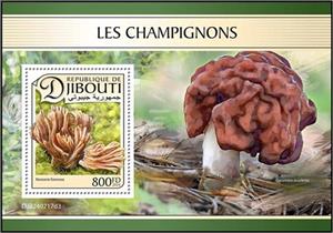 Souvenir Sheet, Pinkish Coral Mushroom (Ramaria formosa), Djibouti,  , Mushrooms, Plants (Flora)