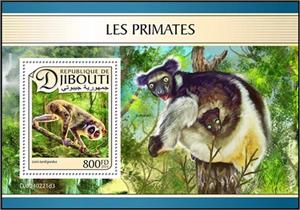Souvenir Sheet, Red Slender Loris (Loris tardigradus), Djibouti,  , Animals (Fauna), Monkeys