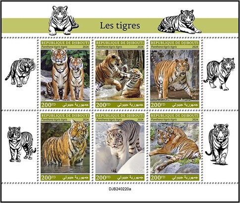 Tigers (Panthera tigris tigris)