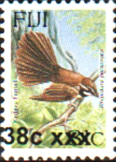 Kadavu Fantail (Rhipidura personata) Surcharged