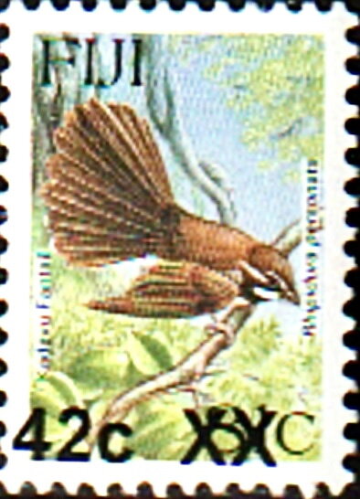 Kadavu Fantail (Rhipidura personata) Surcharged