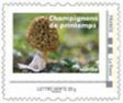 Stamp, Morille, France,  , Mushrooms, Spring