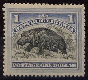 Pygmy Hippopotamus (Choeropsis liberiensis)