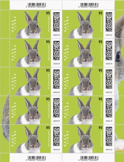 Rabbit
