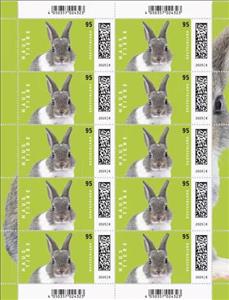 Full Pane, Rabbit, Germany, Federal Republic,  , Animals (Fauna), Mammals, Rabbits