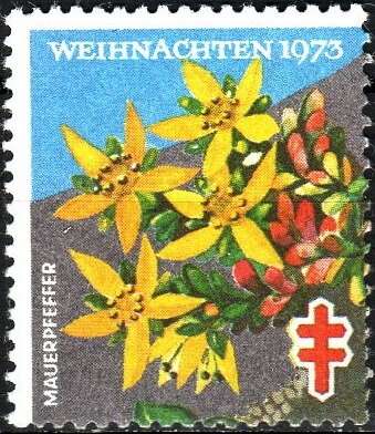 Christmas 1973 Mauerpfeffer
