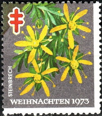 Christmas 1973 Steinbrech