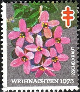 Stamp, Christmas 1973 Taschelkraut, Germany, Federal Republic,  , Charity, Flowers, Plants (Flora), Tuberculosis / TBC