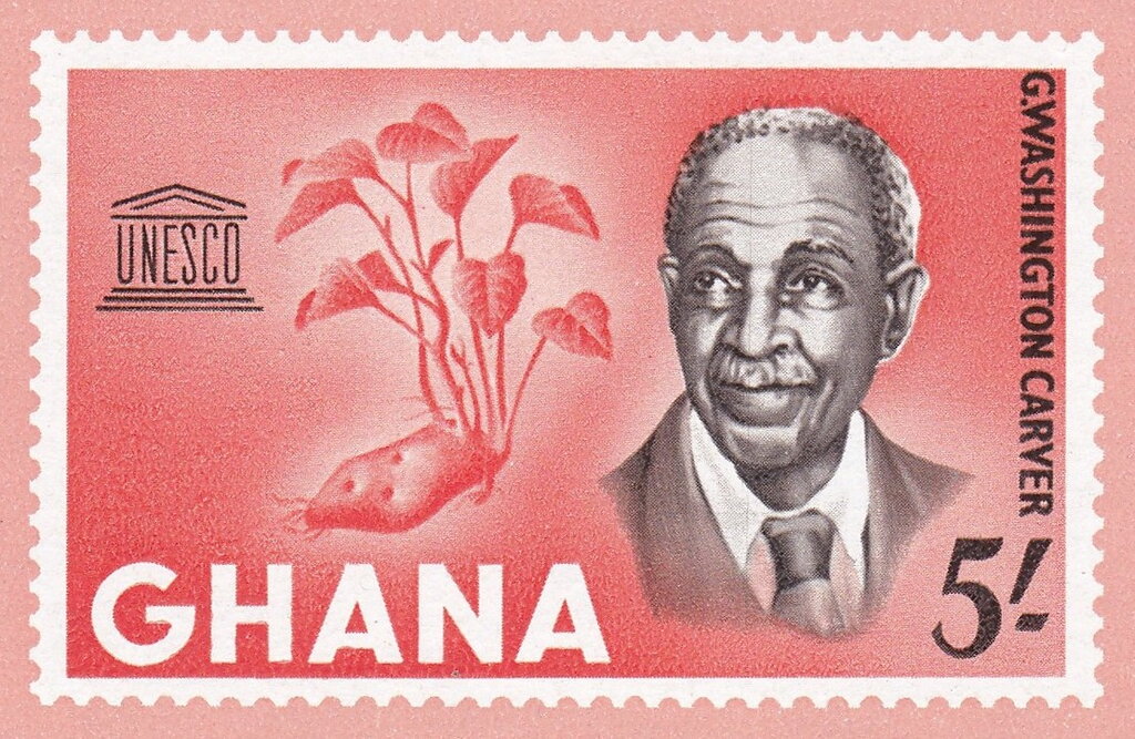 George Washington Carver (1864-1943) and Sweet Potato