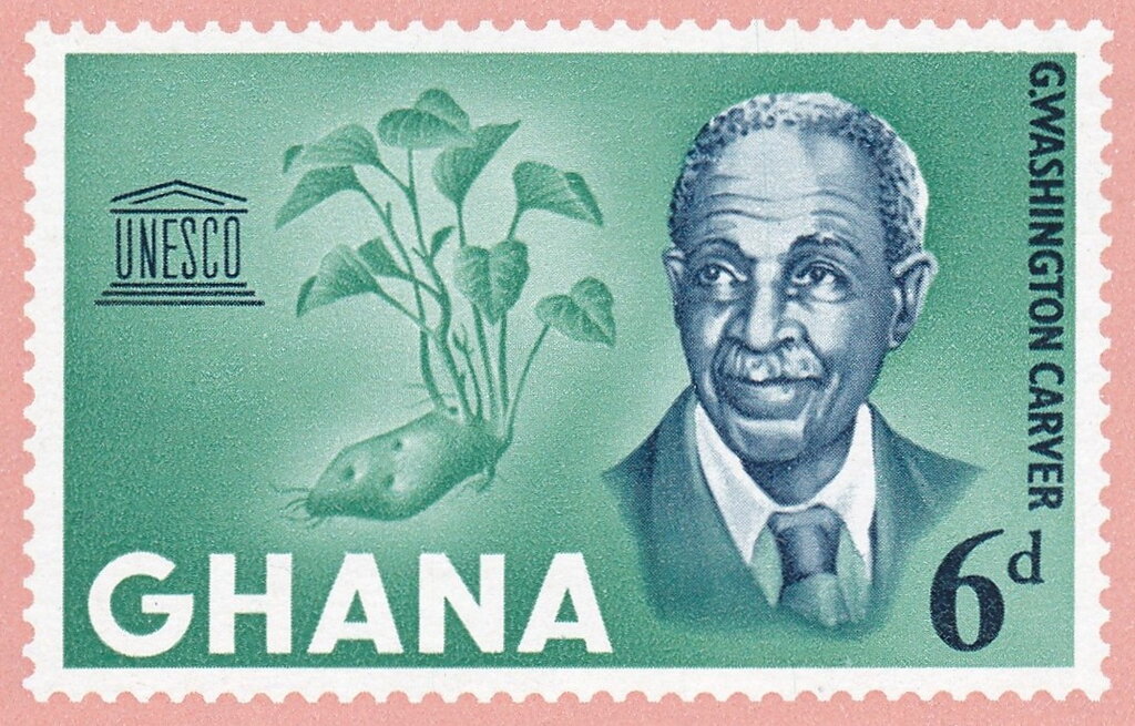 George Washington Carver (1864-1943) and Sweet Potato