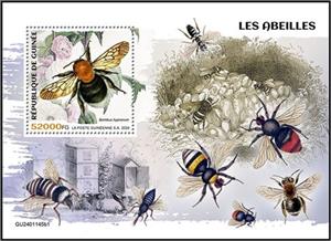 Souvenir Sheet, Bombus hypnorum, Guinea,  , Bees, Insects
