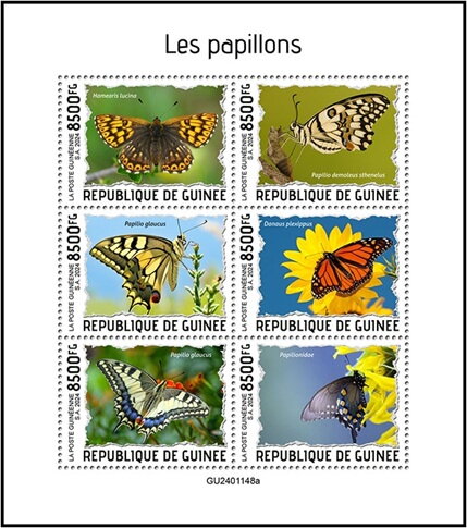 Butterflies