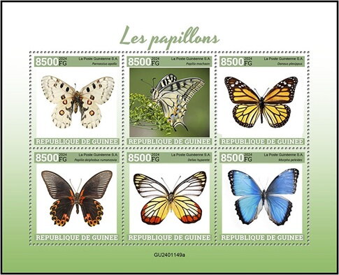 Butterflies