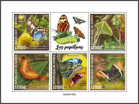 Butterflies