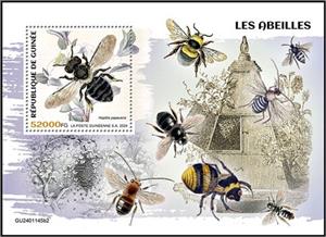 Souvenir Sheet, Hoplitis papaveris, Guinea,  , Bees, Insects