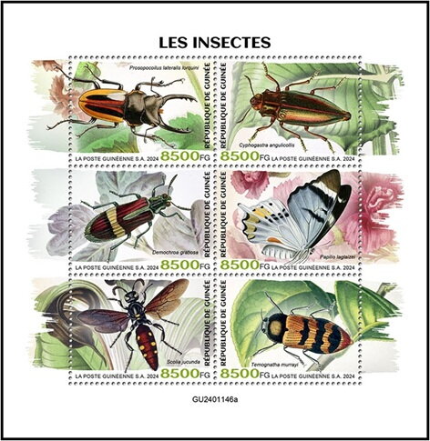 Insects