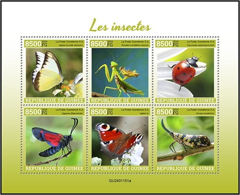 Insects