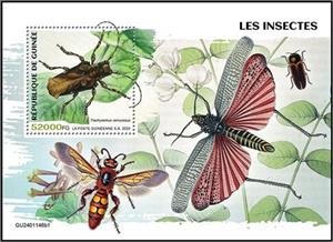 Souvenir Sheet, Trachysomus verrucosus, Guinea,  , Insects