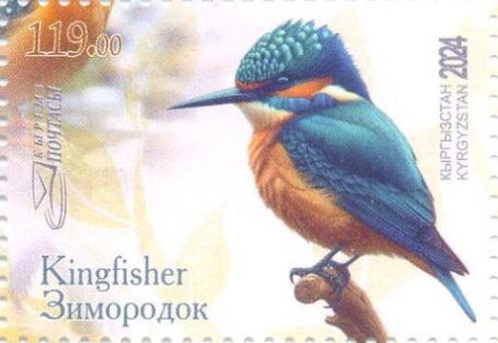 Kingfishers (Alcedinidae)