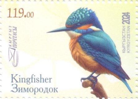 Kingfishers (Alcedinidae)
