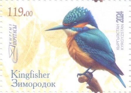 Kingfishers (Alcedinidae)