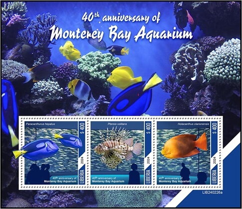 40th Anniversary of Monterey Bay Aquarium