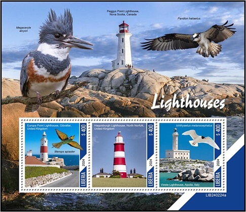 Lighthouses and Birds