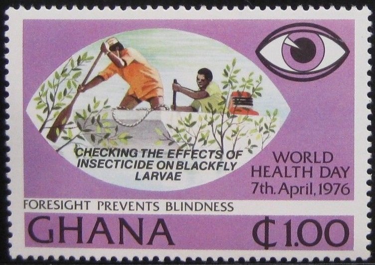 Black Fly Larvae