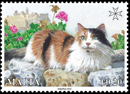 Cats of Malta