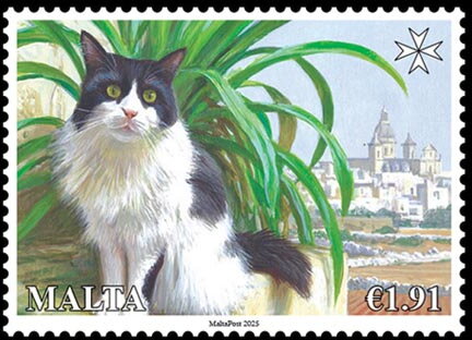 Cats of Malta
