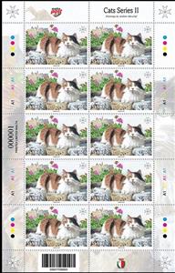 Full Pane, Cats of Malta, Malta,  , Cats