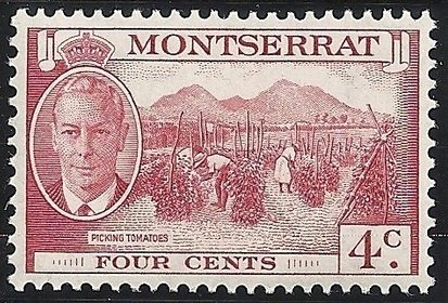 Stamp, Picking Tomatoes, Montserrat,  , Agriculture, Famous People, Heads of State, Kings, Men, Royalty, Vegetables