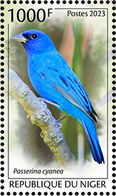 Stamp, Indigo Bunting (Passerina cyanea), Niger,  , Animals (Fauna), Birds