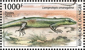 Lamprolepis smaragdina