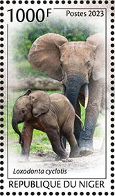 Loxodonta cyclotis