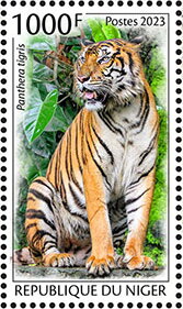 Panthera tigris