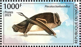 Stamp, Plecotus barbastellus, Niger,  , Animals (Fauna), Bats, Mammals