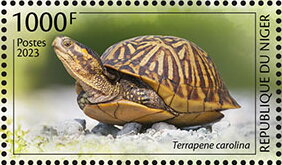 Terrapene carolina