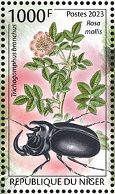 Stamp, Trichogomphus bronchus, Rosa mollis, Niger,  , Animals (Fauna), Insects, Plants (Flora)