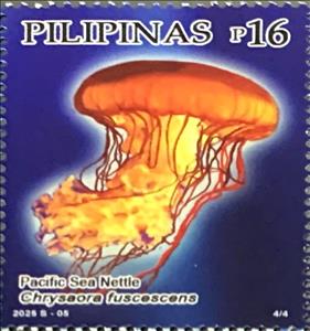 Stamp, Pacific sea nettle (Chrysaora fuscescens), Philippines,  , Animals (Fauna), Jellyfish, Sea Life