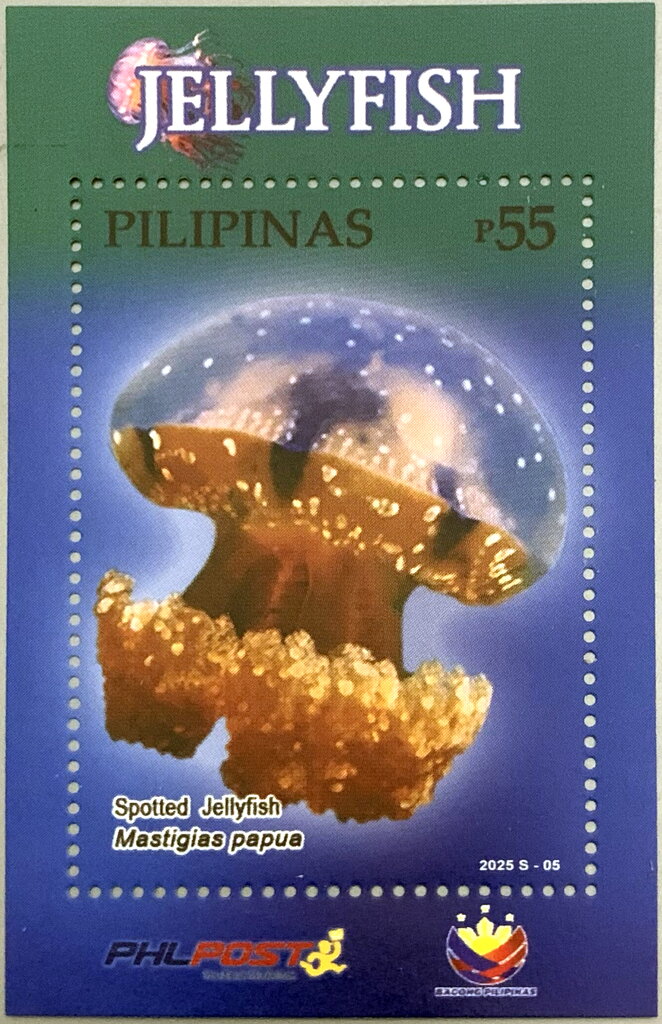 Spotted jellyfish (Mastigias papua)