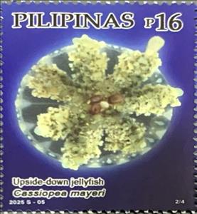 Stamp, Upside-down jellyfish (Cassiopea mayeri), Philippines,  , Animals (Fauna), Jellyfish, Sea Life