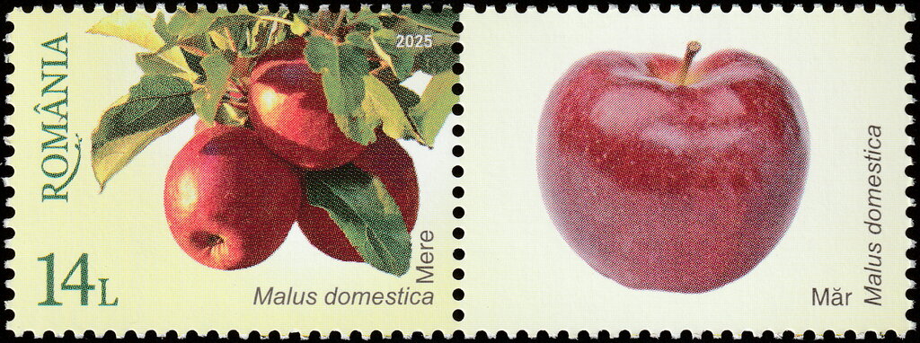 Apples (Malus domestica)