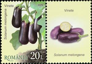 Stamp with Attached Label, Eggplant (Solanum melongena), Romania,  , Fruits and Berries