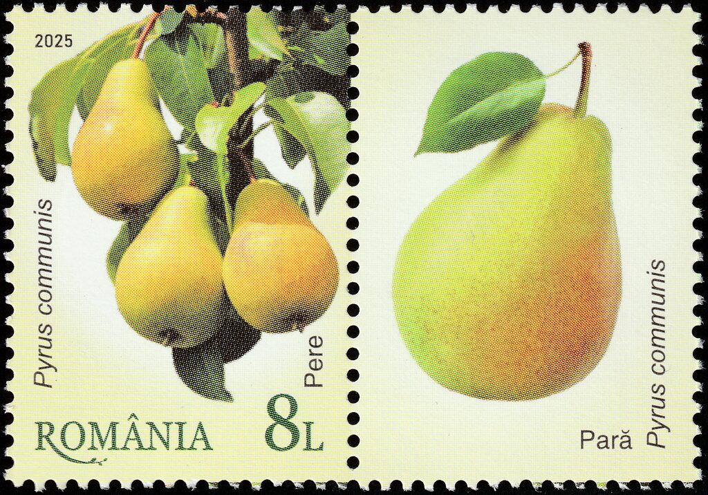 Pears (Pyrus communis)