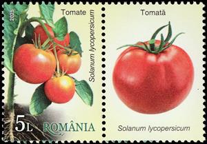 Stamp with Attached Label, Tomato (Solanum lycopersicum), Romania,  , Vegetables